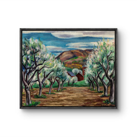 Harvest Landscape