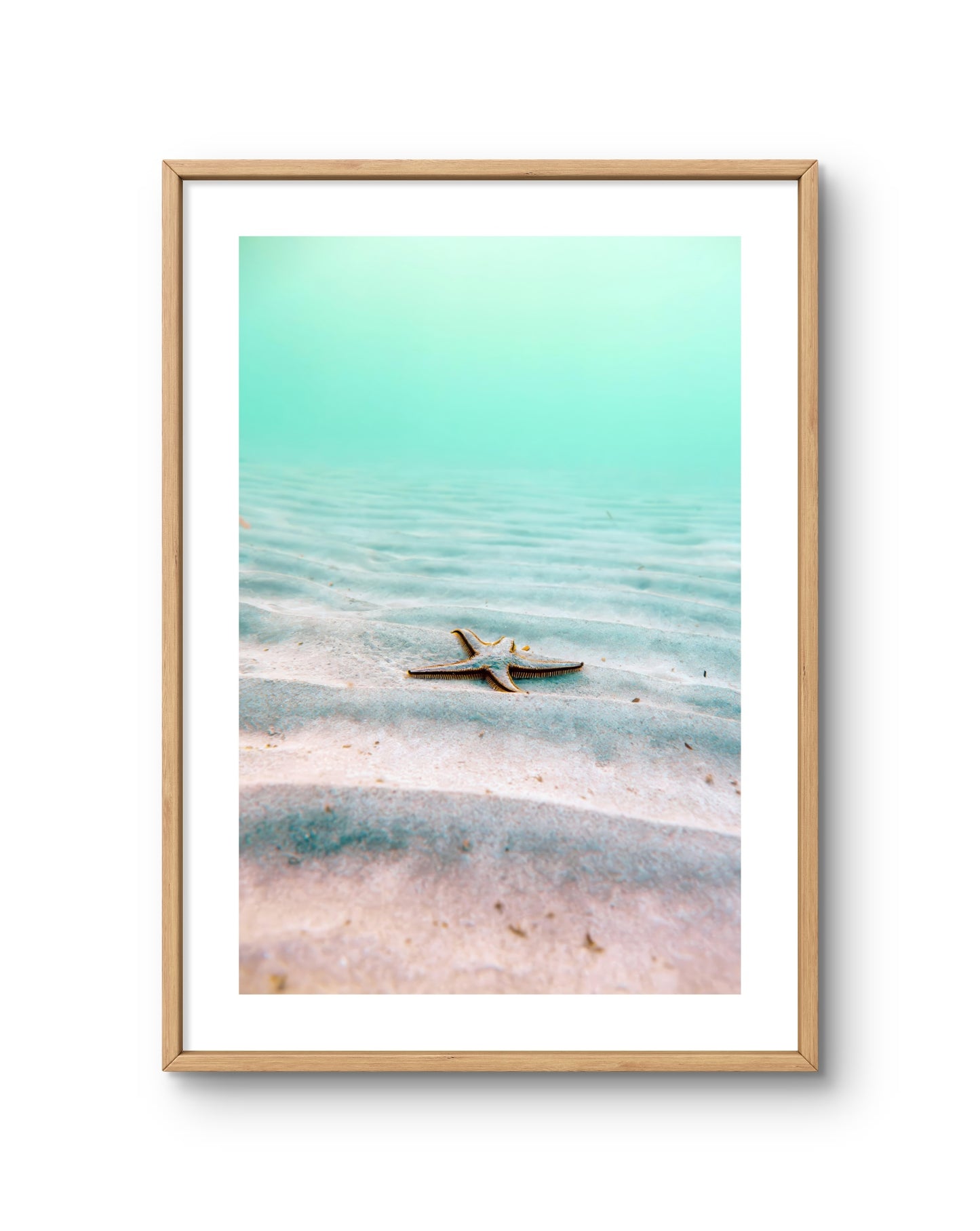 Ocean Floor