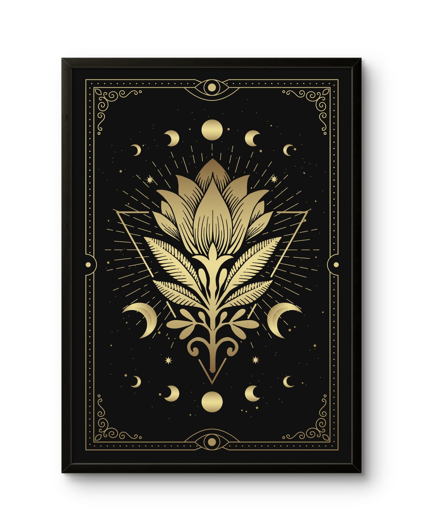 Sacred Lotus Phases