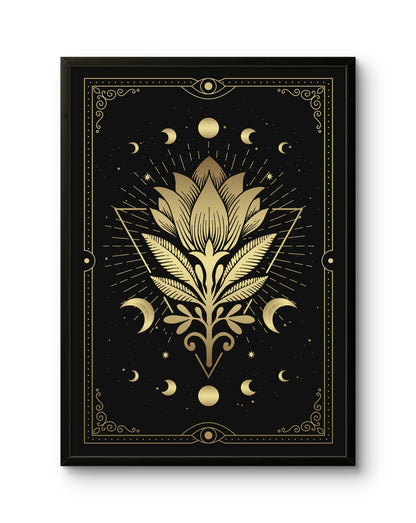 Sacred Lotus Phases