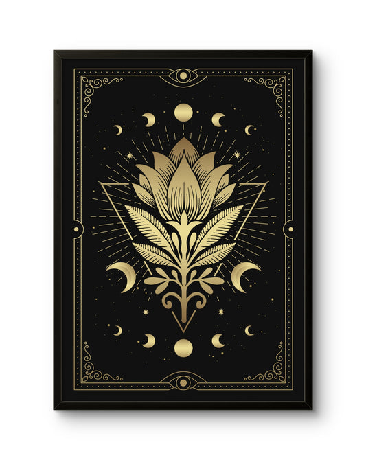 Sacred Lotus Phases