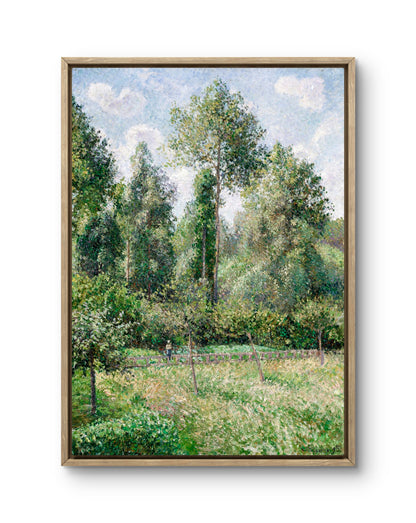 Poplars, Eragny