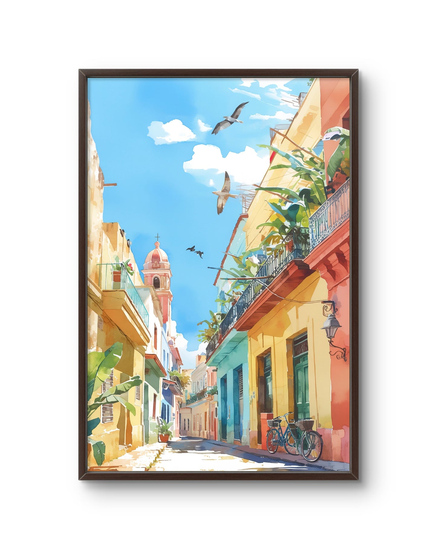 Tropical Street Colors
