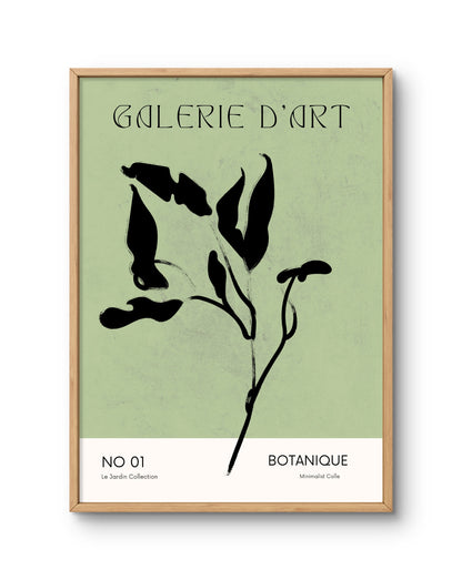 Soft Garden Harmony