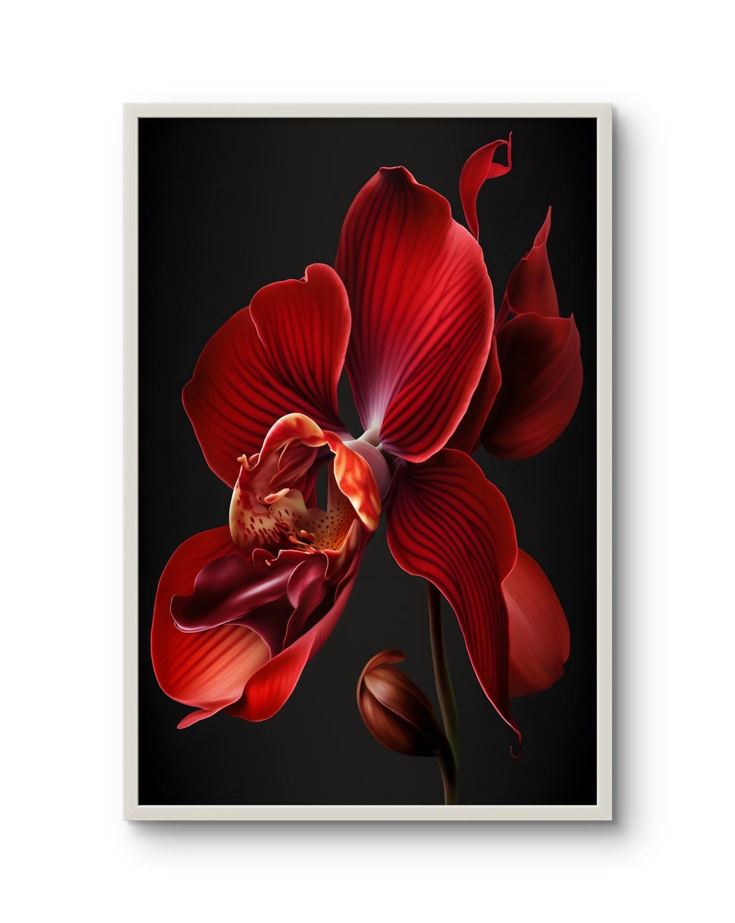 Scarlet Flame Orchid