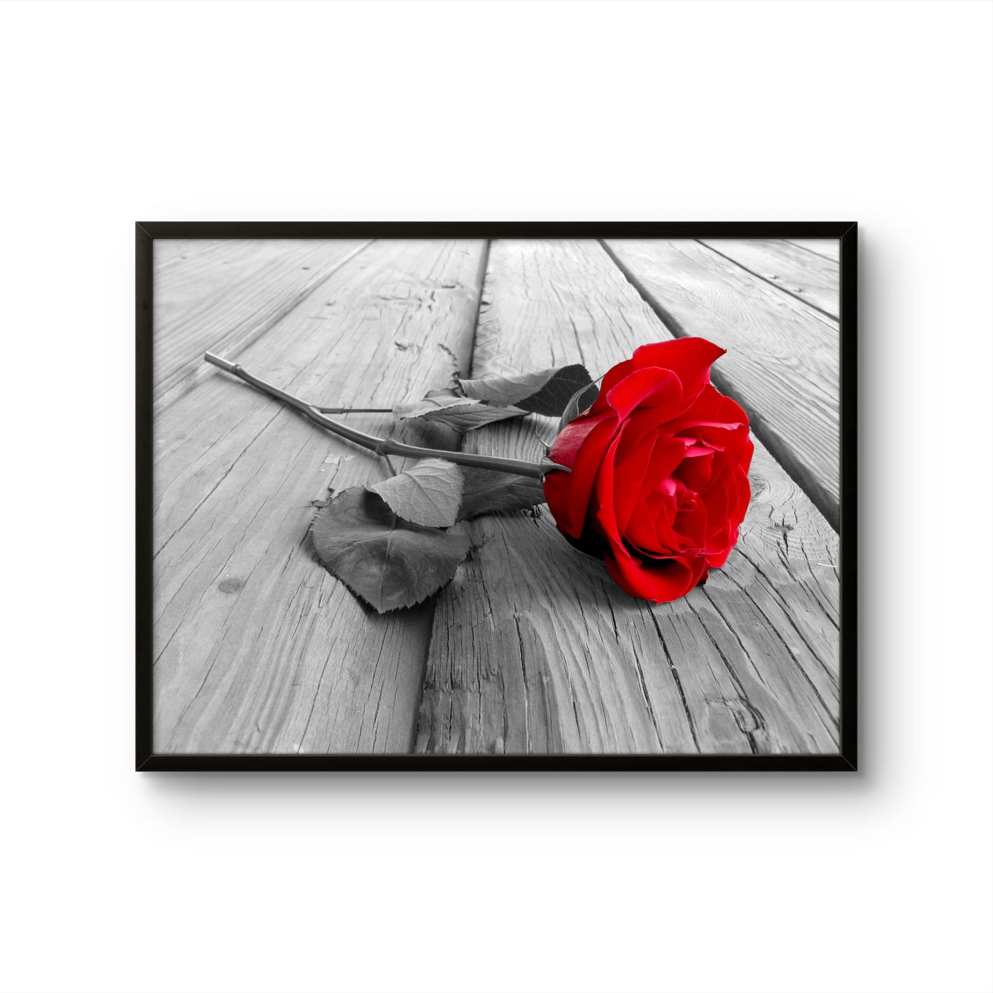 Scarlet Rose on Wood