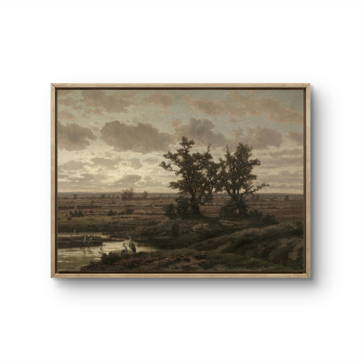 Solitude in the Fields