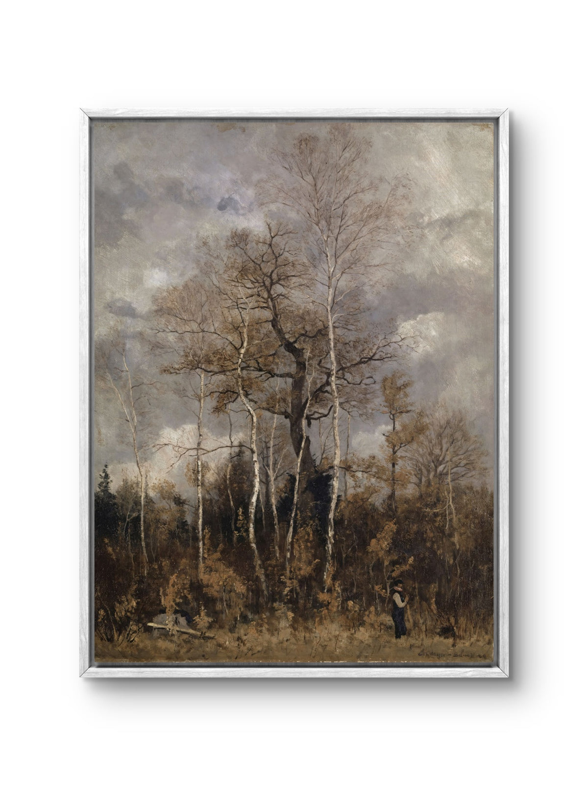 Beneath the Autumn Trees