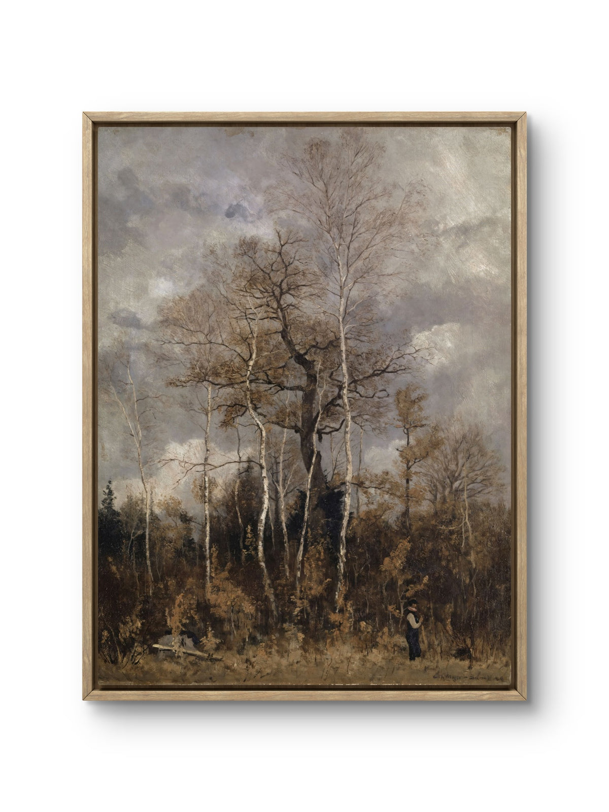 Beneath the Autumn Trees