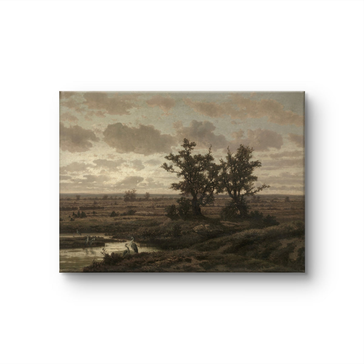 Solitude in the Fields