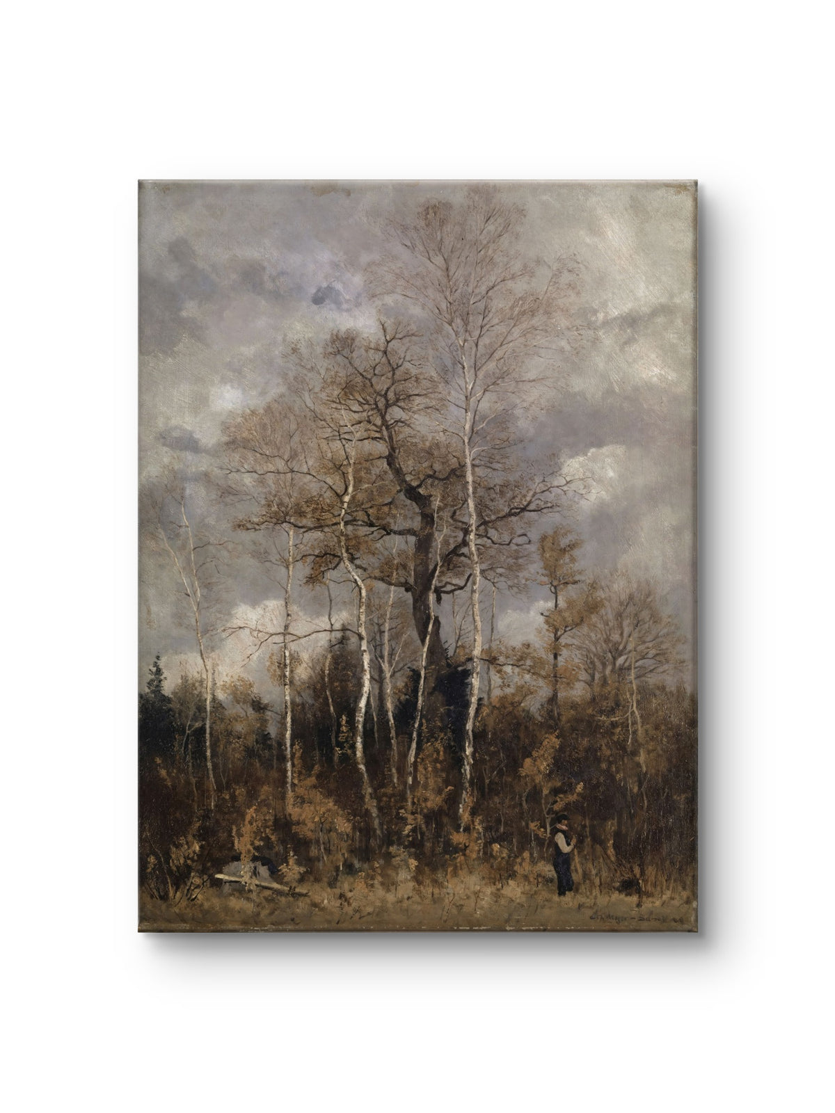 Beneath the Autumn Trees