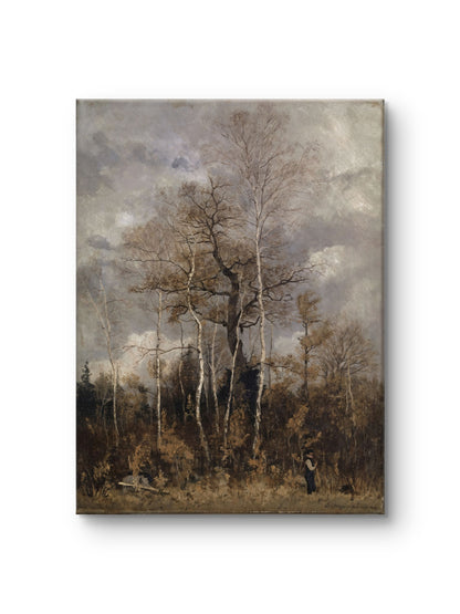 Beneath the Autumn Trees