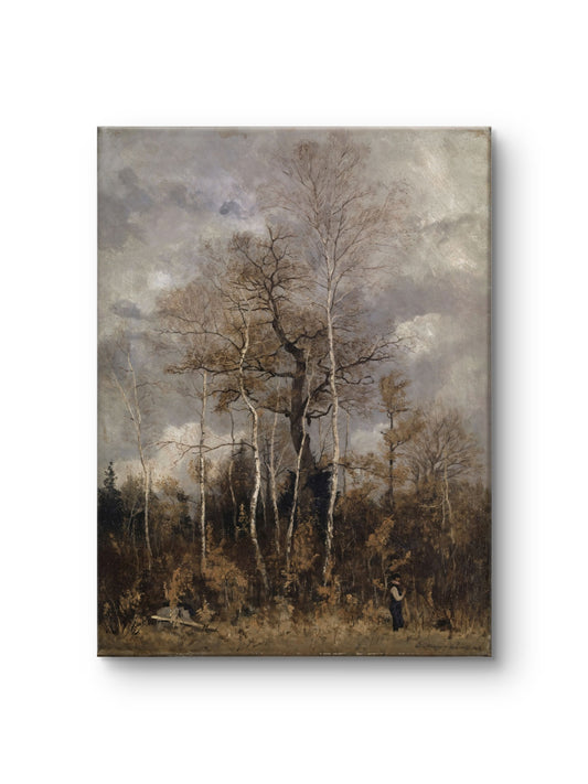 Beneath the Autumn Trees