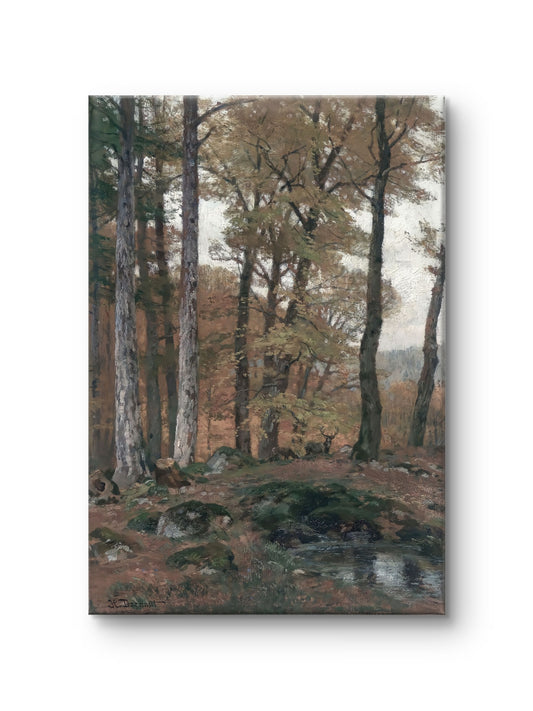 Autumn Woodland
