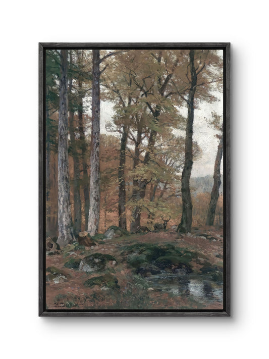 Autumn Woodland