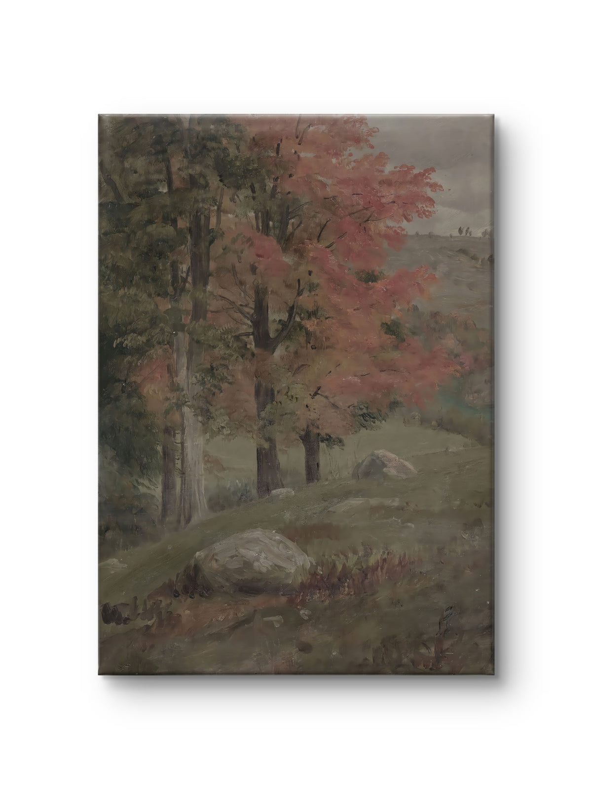 The Quiet Hillside