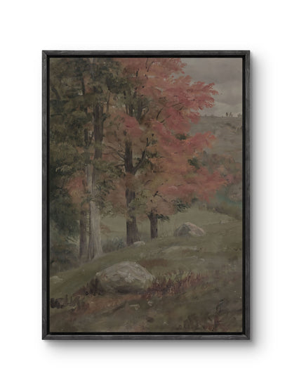 The Quiet Hillside