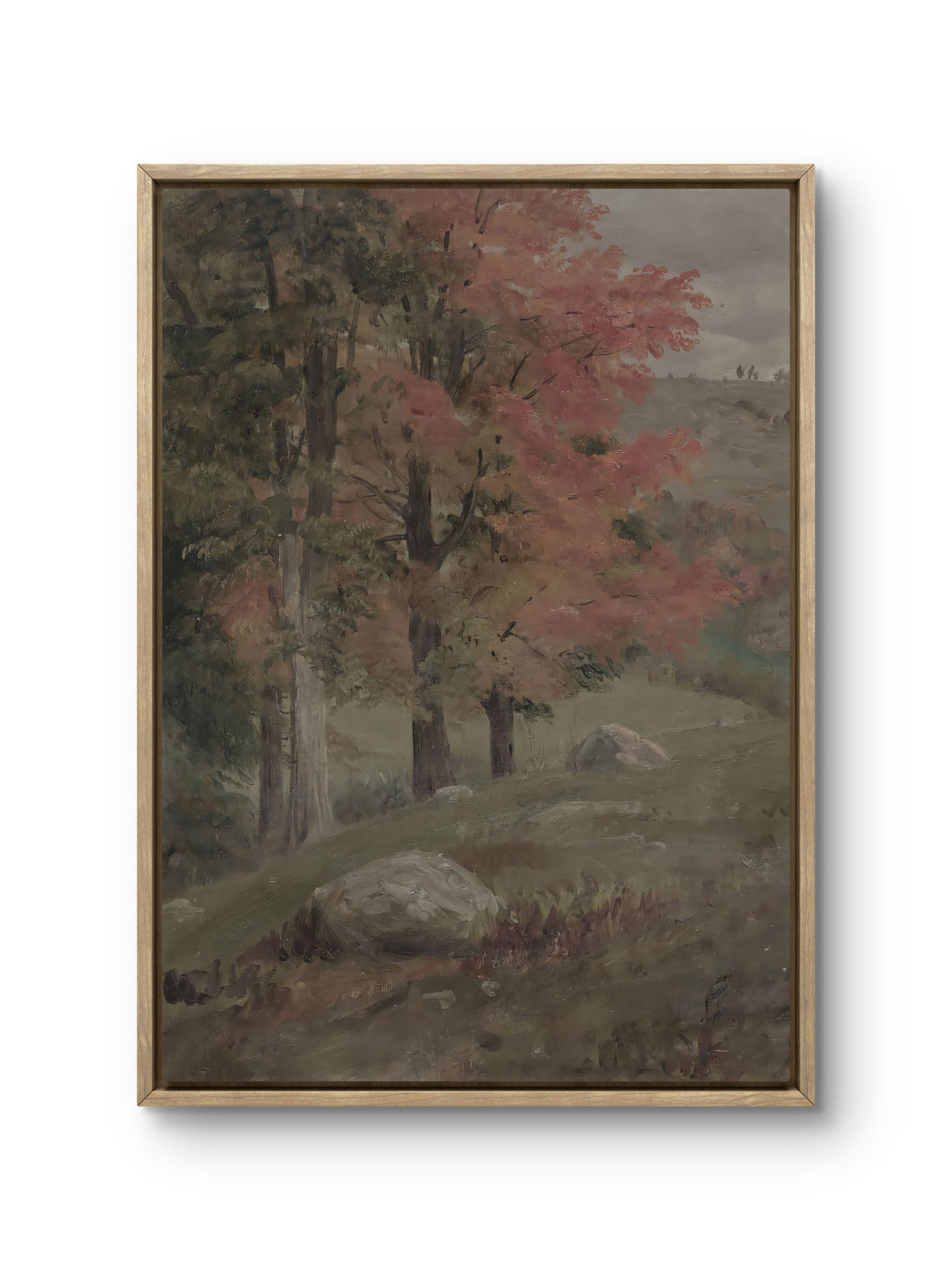 The Quiet Hillside