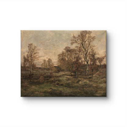 Autumn Meadow