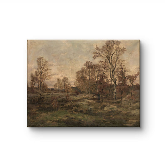 Autumn Meadow