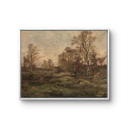 Autumn Meadow