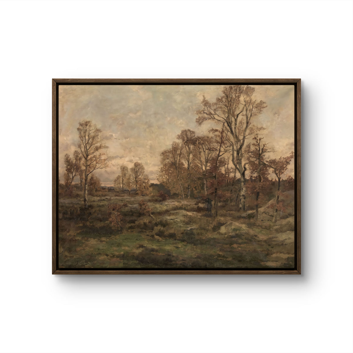 Autumn Meadow