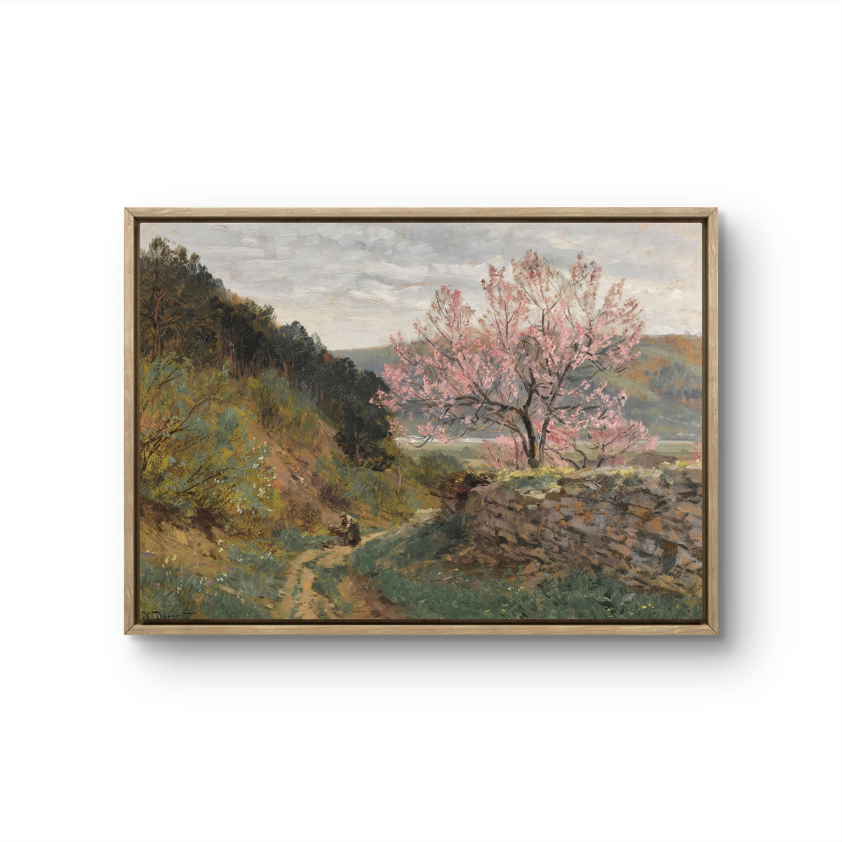 Spring on the Hillside