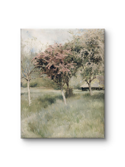 Spring Orchard