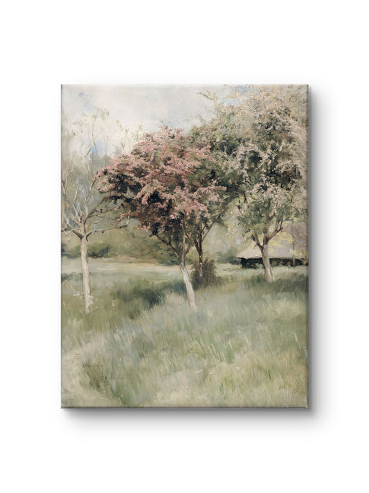 Spring Orchard
