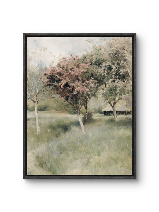 Spring Orchard
