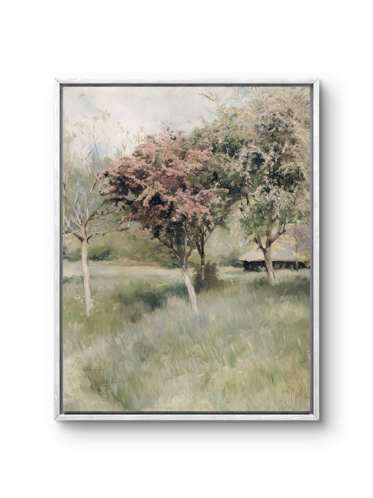 Spring Orchard