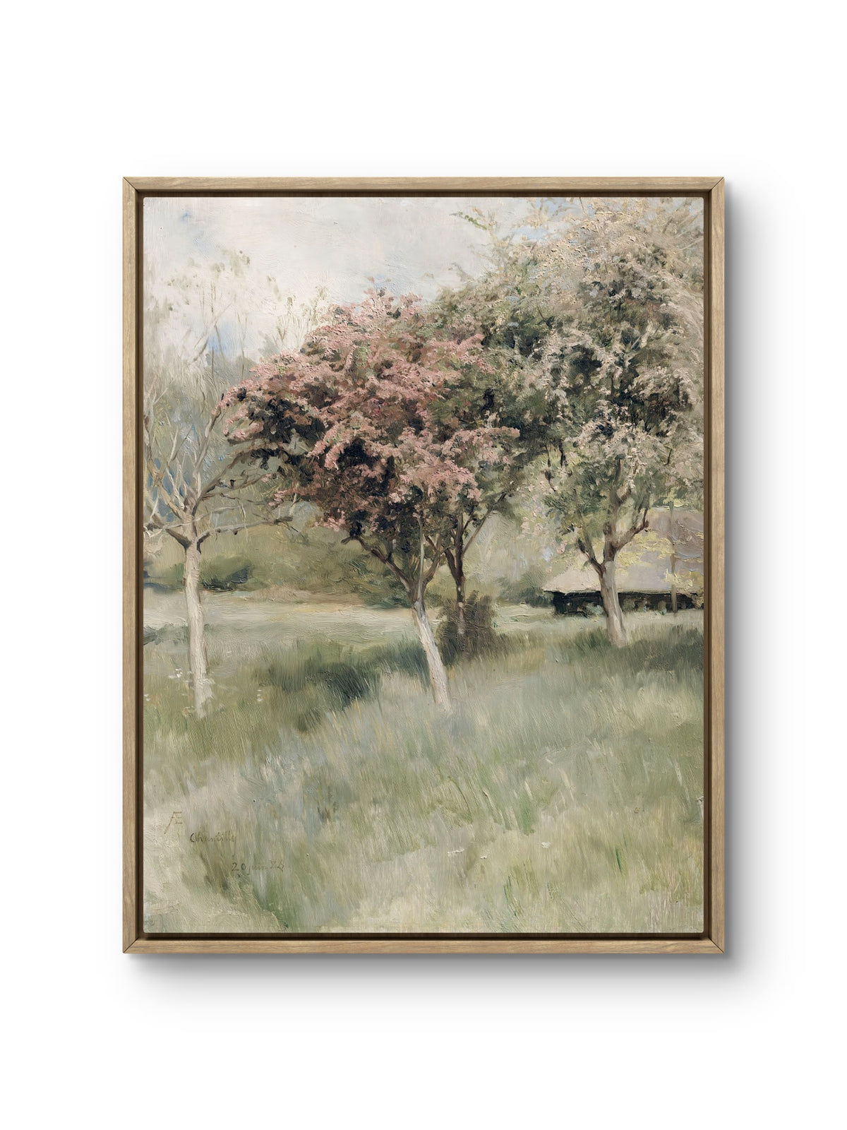 Spring Orchard