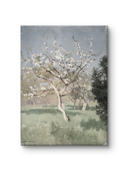 Quiet Spring