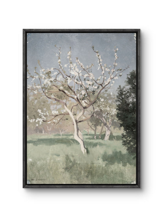Quiet Spring