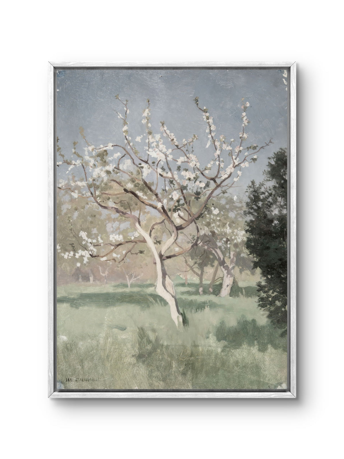 Quiet Spring