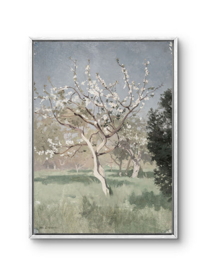 Quiet Spring