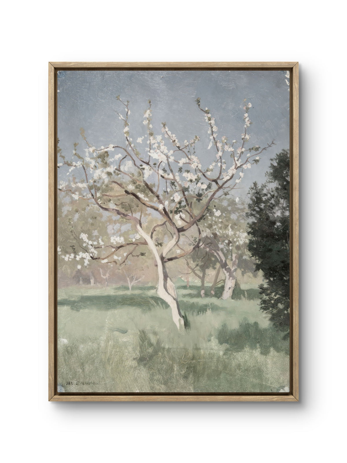 Quiet Spring
