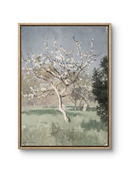 Quiet Spring