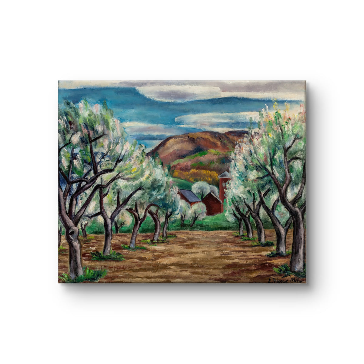 Harvest Landscape