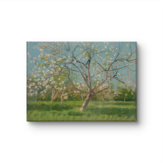 Blossoms Under Blue