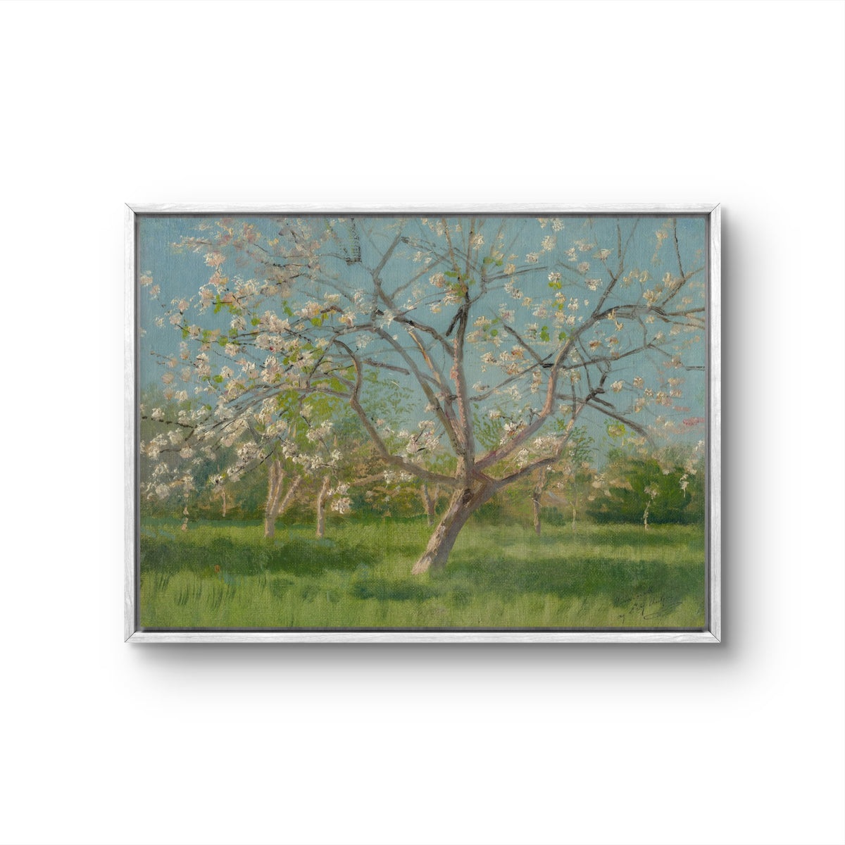 Blossoms Under Blue