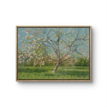 Blossoms Under Blue