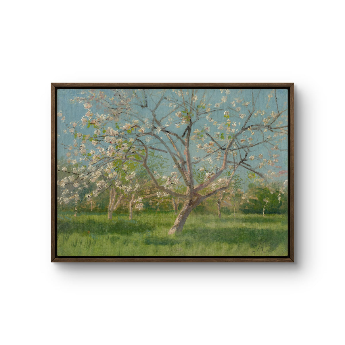 Blossoms Under Blue