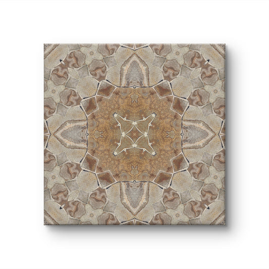 Terra Symmetry