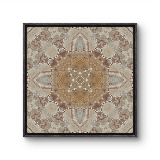 Terra Symmetry