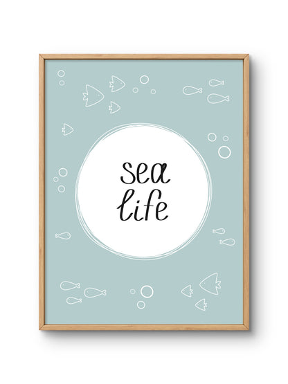 Sea Life