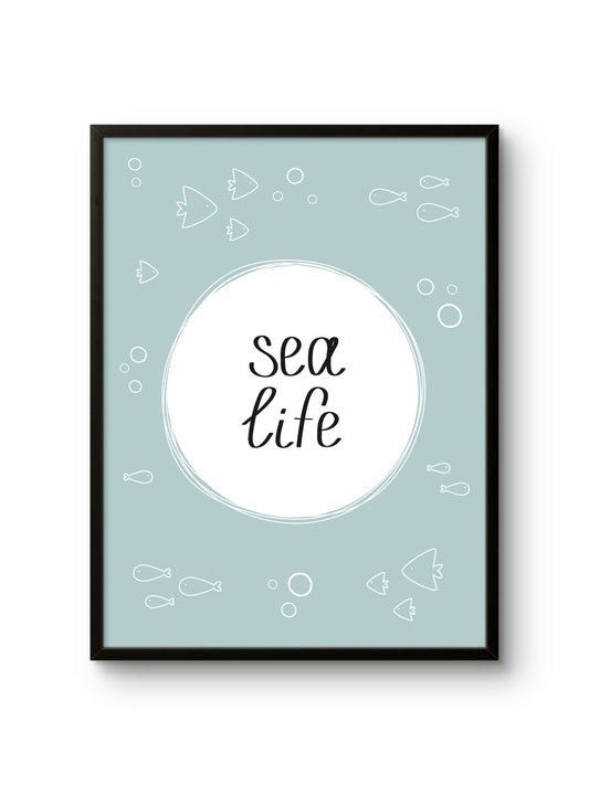 Sea Life