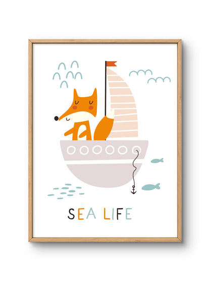 Sea Life