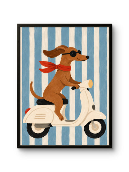 Cool Rider