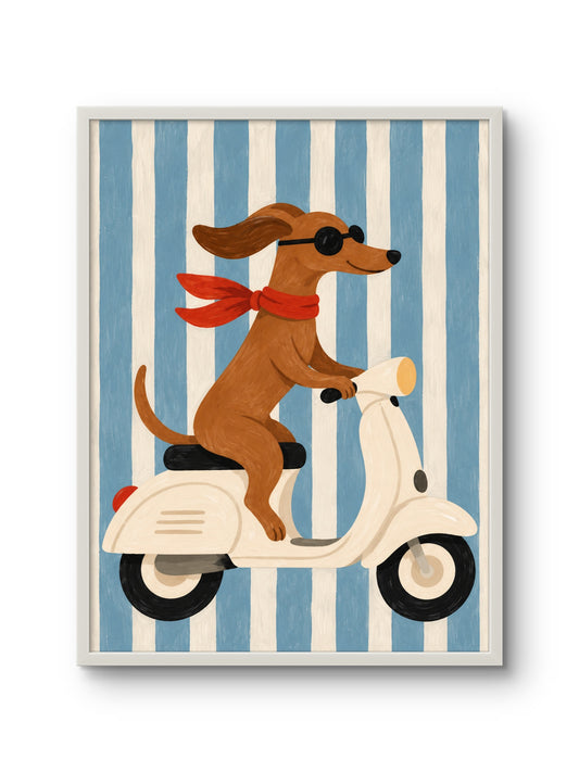 Cool Rider